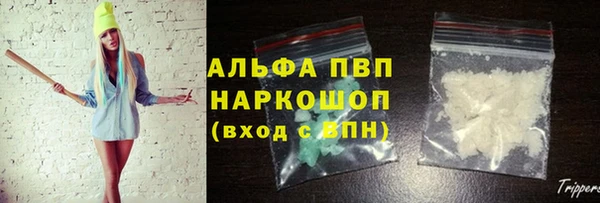 ECSTASY Гусев